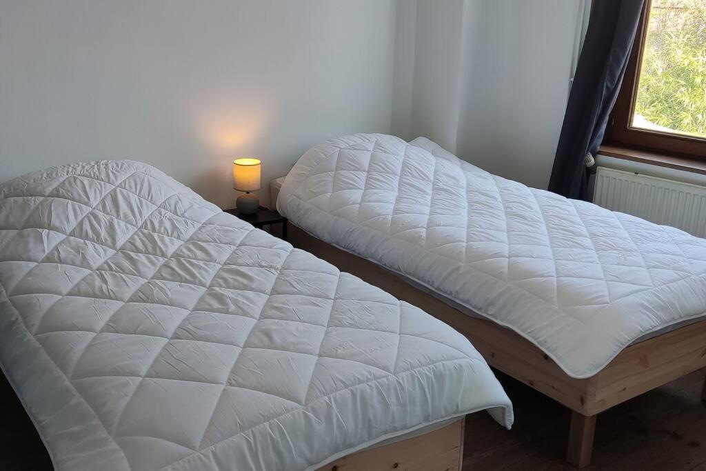 Maison Ronchin/Lille - Proche Toutes Commodites ภายนอก รูปภาพ
